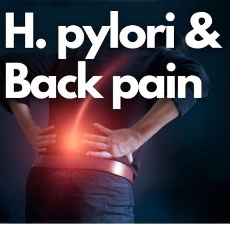 pylori that is present in water or food. . H pylori back pain reddit